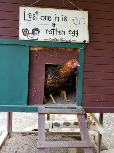 Bula showing off her new decor